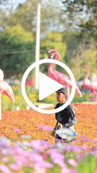 BIB:  <button type="button" onclick="openModal(27583390)" class="btn btn-primary btn-sm float-right" data-toggle="modal" data-target=".modal-high-quality">
                <i class="fa fa-download"></i> Download
                </button>